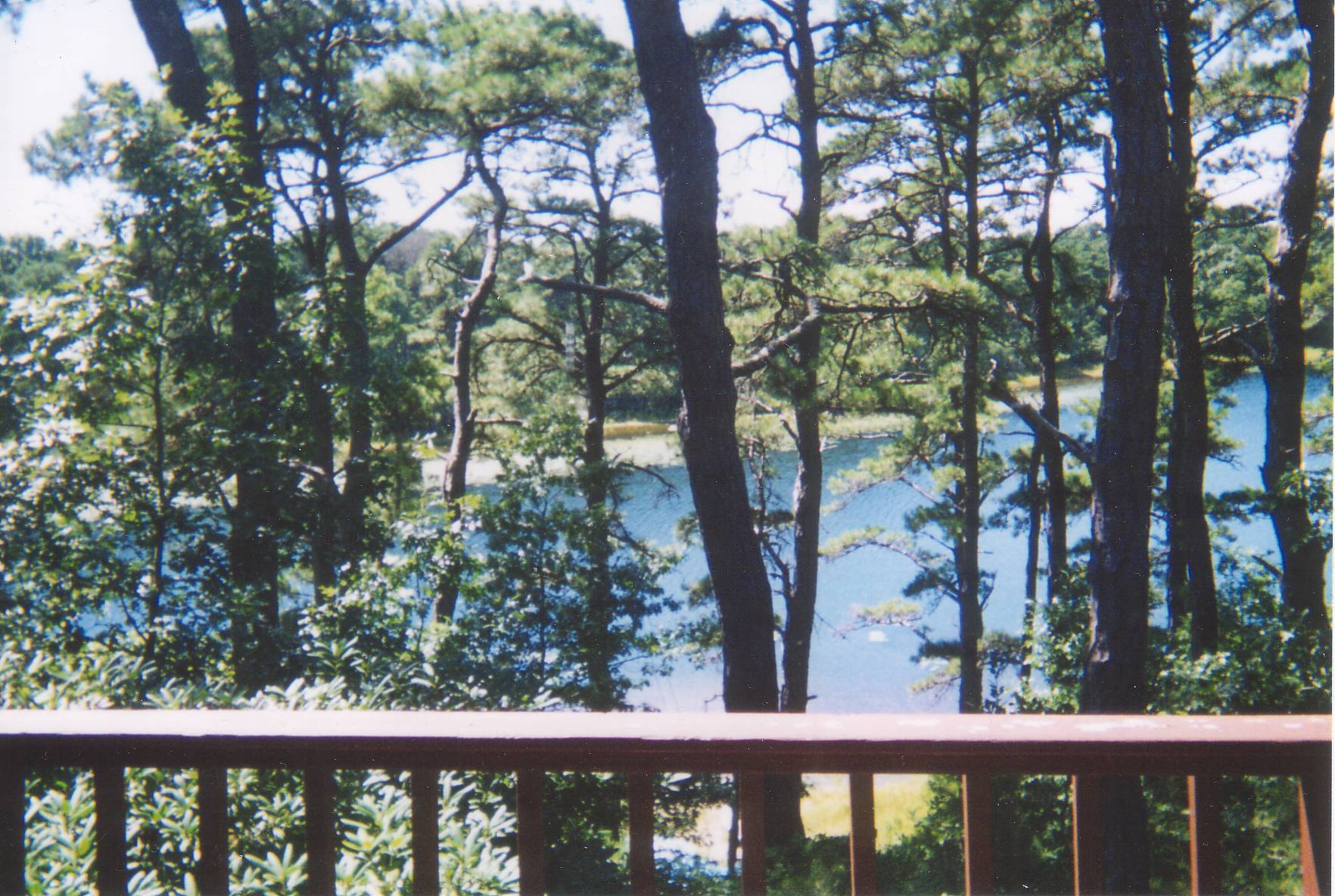 looking at pond from deck