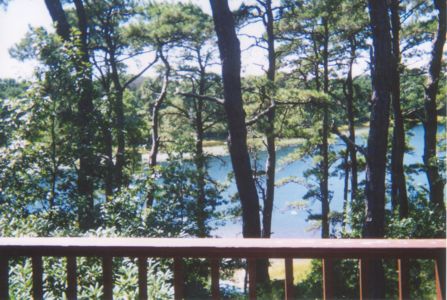 pond from deck